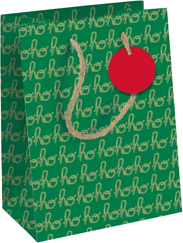 Besuche den Eurowrap-Store Clairefontaine X-34656-3C - Geschenktasche - Tüte Kraft, Format Medium 21, 5x10, 2x25, 3 cm, 210g, hohoho Grün, Eurowrap, 1 Stück — Geschenkverpackung