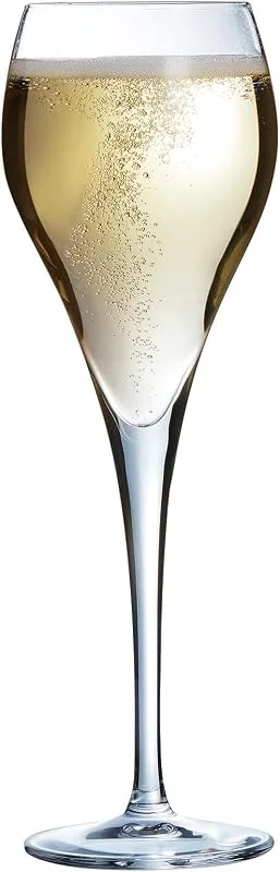 Marke: Arcoroc Arcoroc, Sektgläser, Brio, 16 cl, 6er Set — Wein und Festtafel