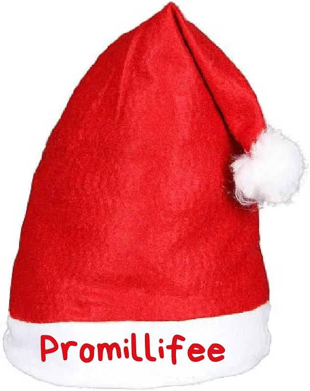 Marke: Alsino Alsino Witzige Weihnachtsmütze Nikolausmütze mit Spruch Sprüche Lustig - Weihnachtsmann Mütze rot mit Bommel Weihnachtsfeier Xmas Christmas Nikolaus — Weihnachtsmode